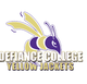  Defiance College 