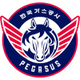  Daegu Petroleum Commune Pegasus Team 2