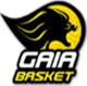  Gaia Basketball Club