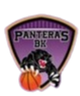  Panther Women's Basketball Team