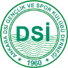  Ankara DSI