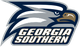  georgia southern university 