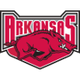  university of arkansas 