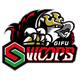  Gifu swoop