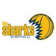  Sheffield Sharks 