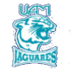  Jaguar UAM