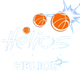  Helios Women's Basketball Team