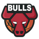  Chicago Bulls 