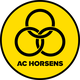  Horsens