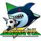  Ranong FC