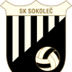  SK Sokolai