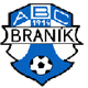  Branik