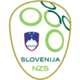  Slovenia Women's Football Team