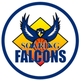  Adamson Falcon