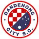  Dandenong City