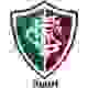  Fluminense PI Youth Team