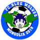  Blue Wolf FC