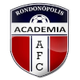  Brazilian Football Academy