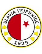  Slavia Vipnis