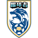  Shijiazhuang football player