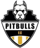  Bitbull FC