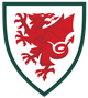  Wales U19