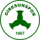  Giresson Sports U19