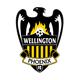  Wellington Phoenix Reserve