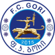  FC Gori