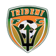  Trident FC