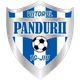  Vitorul Panduri