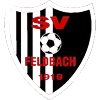  SV Feldbach