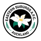  Eastern Suburb Auckland Women's Football Team