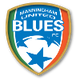  Manninger blues