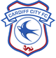  cardiff city 