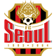  Seoul FC