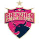  Shenzhen Team