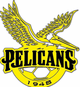  Pelican SC