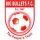  Big Bullets