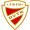  Diostil DVTK Team B