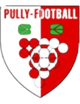  Puli Football