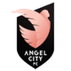  Angel City Women's Football Team