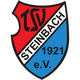  TSV Steinbach Team B