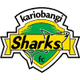  Cary Bangui Shark