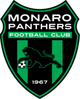  Monaro Panthers 