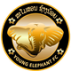  Elephant FC