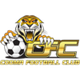  Guma Tiger U23