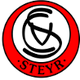  Steyr forward