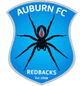  Auburn FC