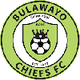  Chief Bulawayo